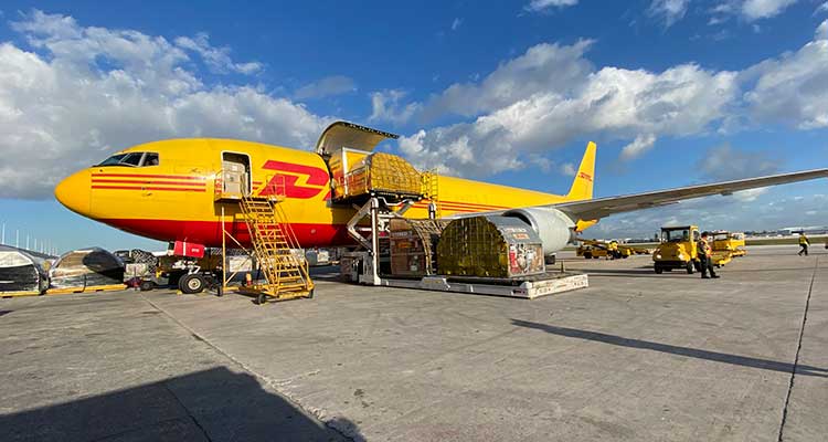 DHL Express: Socio Estratégico para el Desarrollo