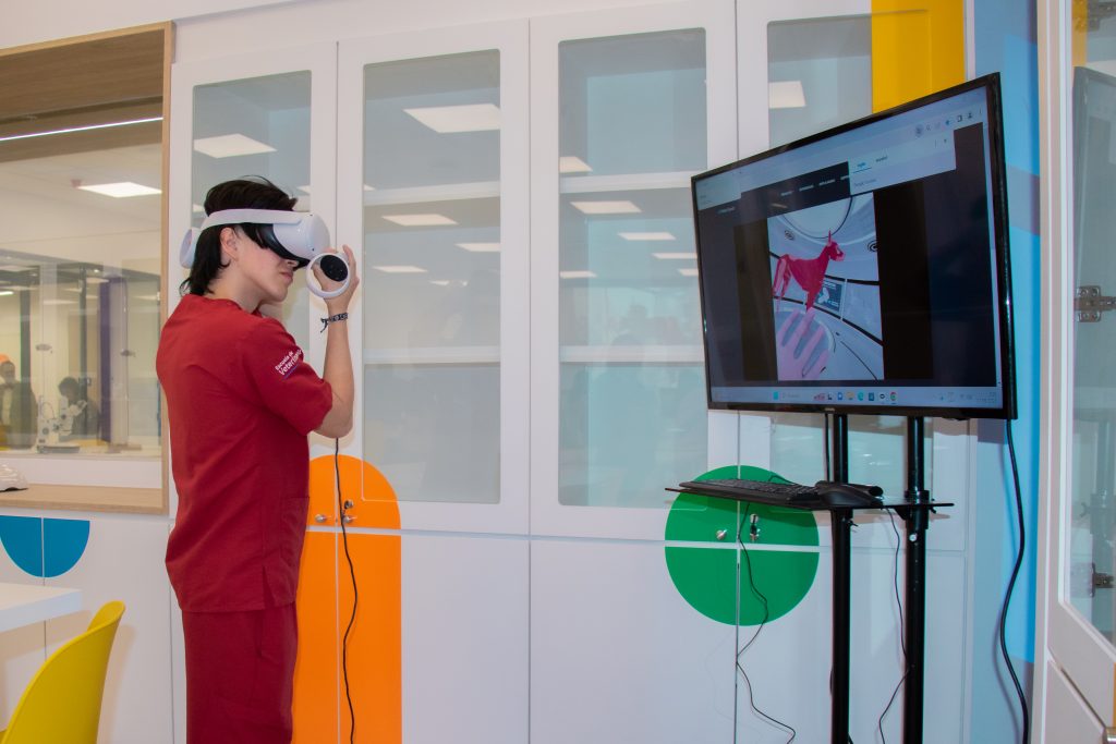 Laboratorios de Realidad Virtual