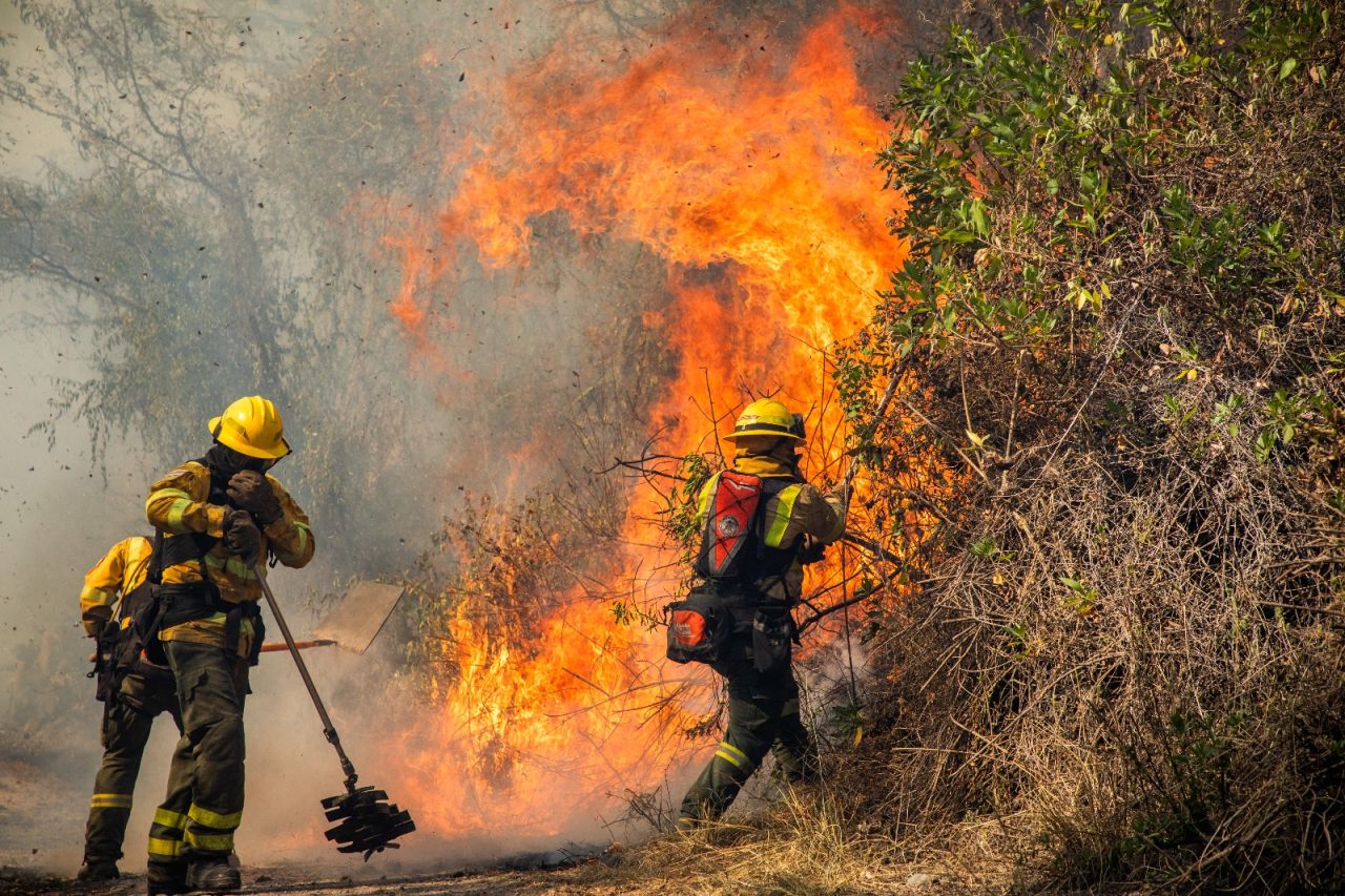 Bomberos